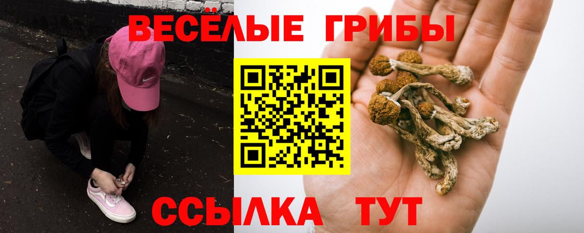 Галлюциногенные грибы Cubensis  Псилоцибиновые грибы мухоморы  Вход с VPN  Воркута 