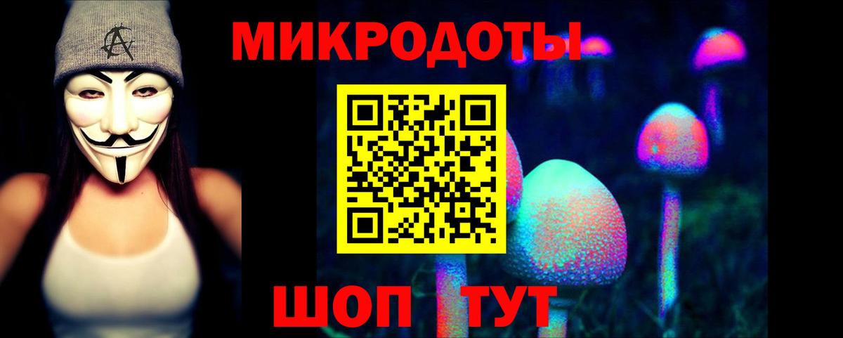 Галлюциногенные грибы прущие грибы Воркута